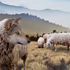 How Predatory Lenders Lay Traps for Unwary Business Owners